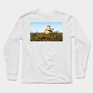 Acacia Tabletop Long Sleeve T-Shirt